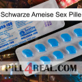 Black Ant Sex Pill new15